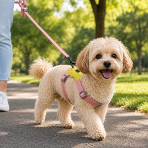 Harnais pour chien robuste, rembourré et réglable, pour grandes races, idéal pour les bermauds allemands, les labrador, les promenades en plein air - Product Image 2