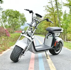 성인 전기 오토바이를 위한 다채로운 유행 디자인 citycoco 2000w 2 바퀴 전기 스쿠터