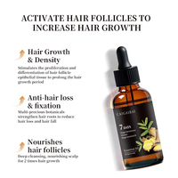 Meilleure qualité traitement de la perte de cheveux sérum prévention de la croissance des cheveux réparation du cuir chevelu croissance rapide gingembre croissance des cheveux huile essentielle