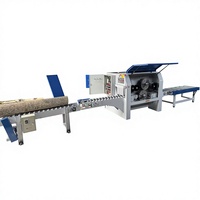 Scie circulaire verticale multi-lames ALWI pour le bois, haute efficacité, 30 kW, largeur de travail 500 mm, 380 V