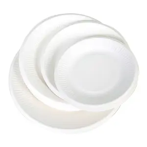 round paper plate custom birthday cake plate thickened outdoor barbecue lunch box many different size and type