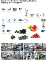 Automatische fruitjam productielijn, machine voor het maken van bosbessen- en aardbeienjam puree