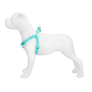 Correa de PVC para Collar de perro, resistente al agua, para caminar, entrenamiento, logotipo personalizado, Color de lujo, a la moda - Product Image 4