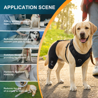 Genouillère pour chien à large bande de maintien sans SBR, avec doublure douce, pour luxation de la rotule, jambe arrière, post-opératoire, manchon articulaire pour animaux de compagnie, vente en gros
