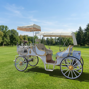 Vehículo de Transporte Dedicado para Recorridos Turísticos de Lujo 2026, Alta Calidad y Económico, Carruaje de Caballos, Precio de Fábrica, Bajo Precio - Product Image 1