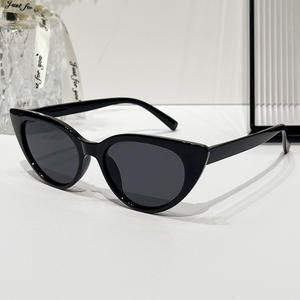 新しい個性的なプラスチック製の小さな楕円形TR90フレーム、キャットアイ、べっ甲柄、ファッショナブルなイレギュラー、レトロ、偏光TAC、UVカットサングラス - Product Image 4