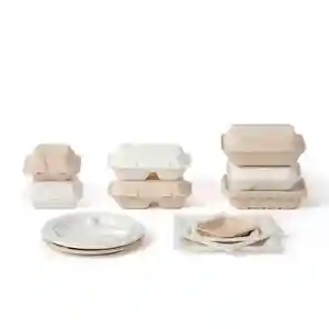 Compostable écologique 100% pâte à papier naturelle vaisselle à emporter jetable biodégradable alimentaire conteneur bagasse à emporter boîte