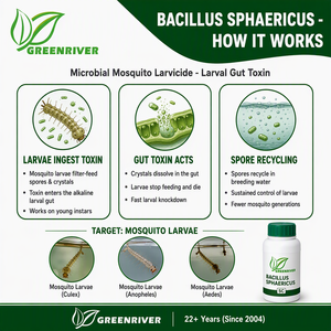 <span class=keywords><strong>Insecticida</strong></span> Biológico Bacillus Sphaericus 200 ITU/mg SC, Larvicida <span class=keywords><strong>para</strong></span> Mosquitos, Pesticida Microbiano - Product Image 3