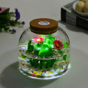 Pot de <span class=keywords><strong>terrarium</strong></span> en verre de forme ronde fait à la main petit pot de réservoir de poissons avec bouchon en liège LED pour la décoration de table de mariage à la maison - Product Image 4
