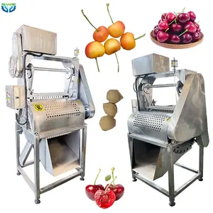 Máquina automática de eliminación de huesos de cerezas máquina de procesamiento de deshuesado de cerezas