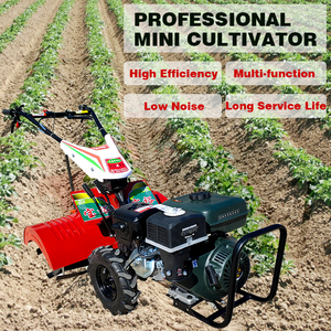 Mini Landteeltmachine Agrarische Benzine Power Helmstok Professionele Hand Push Tuin Cultivators - Product Image 3