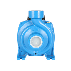 Bomba de Agua Centrífuga Eléctrica para Riego Agrícola de Baja Presión DTM-18 1HP OEM de Acero Inoxidable - Product Image 4