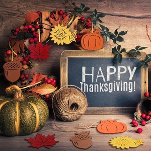 Decorazioni Autunnali in Feltro, Ornamenti Personalizzati <span class=keywords><strong>da</strong></span> <span class=keywords><strong>Appendere</strong></span> per Halloween e Festa del Ringraziamento, per Interni ed Esterni - Product Image 5