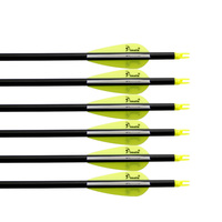 Flèches Pinals Archery 300 340 400 500 600 Spine pour arcs composés, arcs classiques, arcs longs, flèches en carbone de 30 32 pouces