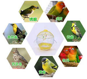 Ucuz fabrika özel yüksek kaliteli mor seyahat kanarya küçük kuş kafesi - Product Image 6