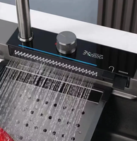 Évier de cuisine en acier inoxydable avec deux bacs et sortie d'eau en cascade