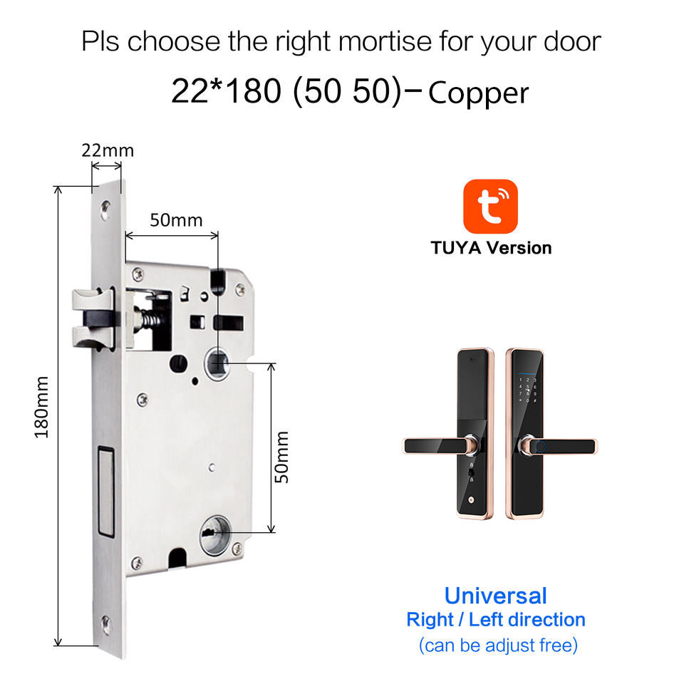 (50)-ทองแดง
