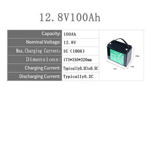 Batteria LiFePO4 OEM/ODM 12V 100AH con 2000 Cicli per Veicoli Elettrici e Sistemi di Accumulo Energetico, RV, Certificazione IP65, 1280Wh - Product Image 2