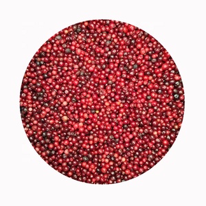 Cranberries surgelées IQF <span class=keywords><strong>de</strong></span> qualité supérieure cultivées en plein air en vrac - Product Image 4