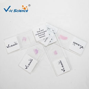 20 piezas de diapositivas de Histología oral humana diapositivas de Histología partes bucales microscopio diapositivas de Histología oral - Product Image 1