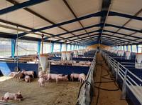 Structure en acier préfabriquée pour bâtiments agricoles, étable à vaches, bergerie, bâtiment pour moutons/bovins/laitiers/chèvres, hangar à volailles, construction de porcherie
