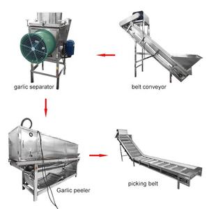 Ligne de production d'épluchage d'ail de prix usine/machine de cassage d'ail/petite machine d'épluchage d'ail - Product Image 3
