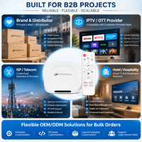 2025 usine H96 Max TV Box RK3528 Android 14 M1 PLUS Quad Core lecteur multimédia plus récent UHD 8K meilleure vente décodeur