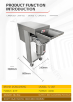 Commerciële industriële elektrische machine voor het vermalen van wortelen, sinaasappels, avocado's, peren, appels, bananen, fruit en groenten