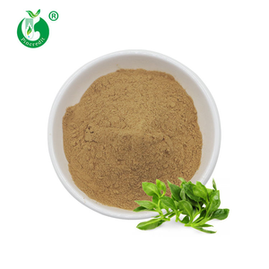 Pincredit Supply - Extracto <span class=keywords><strong>Natural</strong></span> de Andrographis <span class=keywords><strong>Paniculata</strong></span> 10% 98% en Polvo de Andrografólido - Product Image 3