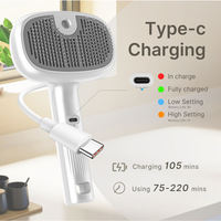 Nouvelle brosse lissante à vapeur pour animaux de compagnie, auto-nettoyante, rechargeable, écologique, en acier inoxydable, pour chats, antistatique