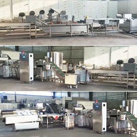 Automatische Een Petit Goedkope Machine Blancheren Gedroogd Fruit Ligne De Bake Banaan Weegbree Chip Productielijn