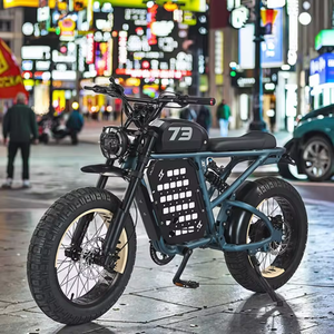 Bicicleta Eléctrica de Alta Potencia con Motor Central, Batería de Litio de 48V, Motor de 1000W para Terrenos Difíciles, Aventura al Aire Libre, JYOP-RX - Product Image 5