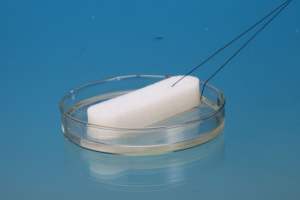 Pembalut hidung spons PVA yang paling diminta dengan tali untuk menghentikan pendarahan - Product Image 6