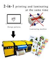 Imprimante UV DTF 2-en-1 Rouleau à Rouleau pour Autocollants et Films A/B 30cm Double Tête XP600 – Machine d'Impression UVDTF