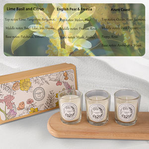 Set de bougies parfumées en cire de soja haut de gamme de luxe personnalisé bougie parfumée décorative sans fumée plante naturelle cadeau pour femme romantique avec boîte - Product Image 6