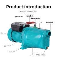 Pompe à eau auto-amorçante à haute pression en fonte 220V pour puits