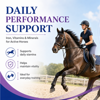 Bouteilles de suppléments liquides de vitamines, de fer et de minéraux pour la santé des chevaux sous marque privée - Soutien immunitaire et endurance