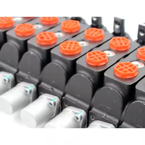 วาล์วควบคุมทิศทางไฮดรอลิกแบบ 9 สปูล SD8 |   โรงงานขายส่งโดยตรงจากผู้ผลิต - Product Image 5