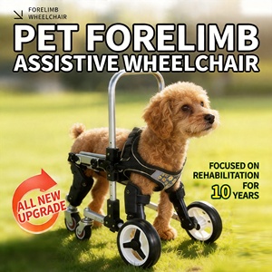 Carrito <span class=keywords><strong>de</strong></span> Movilidad <span class=keywords><strong>para</strong></span> Mascotas Ultraestable <span class=keywords><strong>de</strong></span> 4 <span class=keywords><strong>Ruedas</strong></span> - Soporte Patentado Ligero <span class=keywords><strong>para</strong></span> Patas Delanteras <span class=keywords><strong>para</strong></span> <span class=keywords><strong>Perros</strong></span> Lesionados (Tallas S/M/L) - Product Image 1