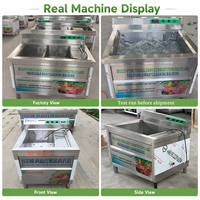 SAIDASHI Industriële Luchtbelletjes Groentewasmachine met Ozonverwarming voor Vers Gesneden Salade en Voedselverwerkingsbedrijven