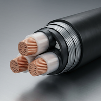 Câble d'alimentation blindé en acier PrimePro YJV22 STA 0,6/1 kV à âme en cuivre XLPE pour enterrage direct souterrain destiné aux projets d'infrastructure