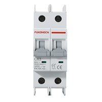Disjoncteur miniature (MCB) bipolaire non polarisé DC pour batterie de stockage d'énergie photovoltaïque FK7DC-63/FK7DC-125, alimentation solaire DC500V