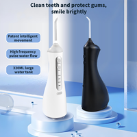 Hydropulseur dentaire sans fil 310 ml avec logo personnalisé, plusieurs réglages, étanche, pour usage domestique