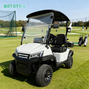 Carrito de Golf de 2 Plazas Más Vendido en Europa - Modelo Todoterreno con Batería de Iones de Litio para Uso Turístico en Carreteras No Públicas - Product Image 1