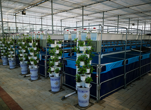 Bacs à poissons en PVC flexibles et durables pour l'<span class=keywords><strong>aquaculture</strong></span> intérieure/extérieure, carrés et rectangulaires, pour l'élevage de poissons et de plantes aquatiques, équipement d'<span class=keywords><strong>aquaculture</strong></span> - Product Image 5