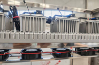 Industriële magnetron droogmachine voor fruit en groenten voor voedselverwerkende fabrikanten