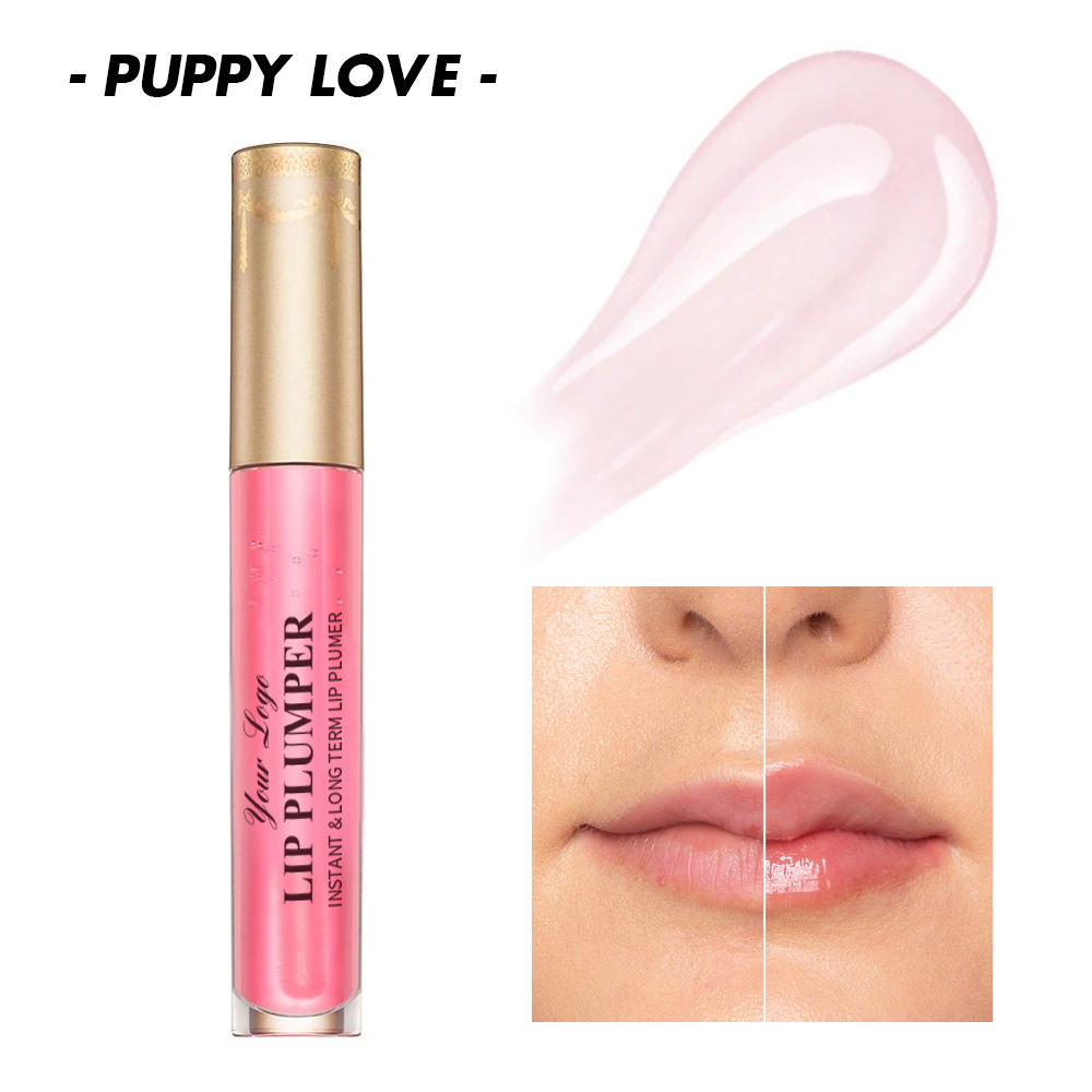 ความรักของลูกสุนัข