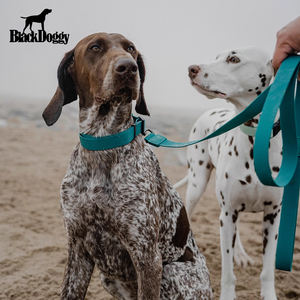 Collier en polyester pour laisse de marche pour chien avec rubans à rayures classiques imperméables personnalisés à dégagement rapide - Product Image 6