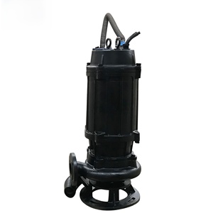 Powerful Oil and Gas Industry waste water <b>pump</b> with Cast Iron Body - Product Image 5
