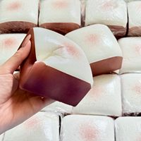 Jouet sensoriel anti-stress en mousse PU super épaisse, moelleuse et collante, en forme de pain grillé, à remontée lente, pour soulager l'anxiété et le TDAH, cadeau mignon